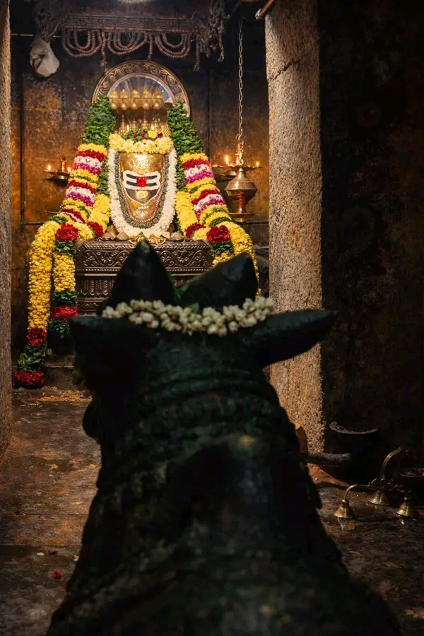 சக்தி வாய்ந்த அமிர்த யோகம்-இன்றைய ராசிபலன்{17.4.2026}