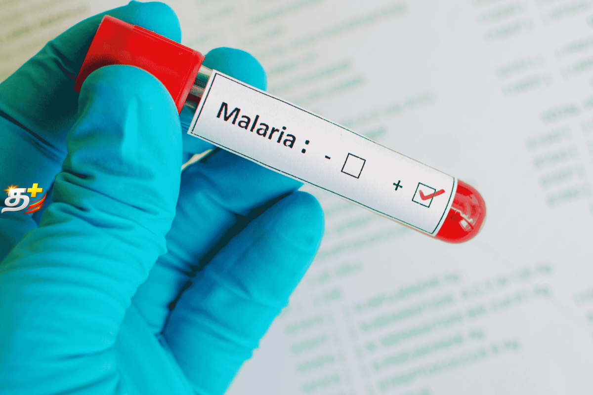 வட மாகாணத்தில் மீண்டும் தலைதூக்கும் ஆபத்து ; மக்களே அவதானம்