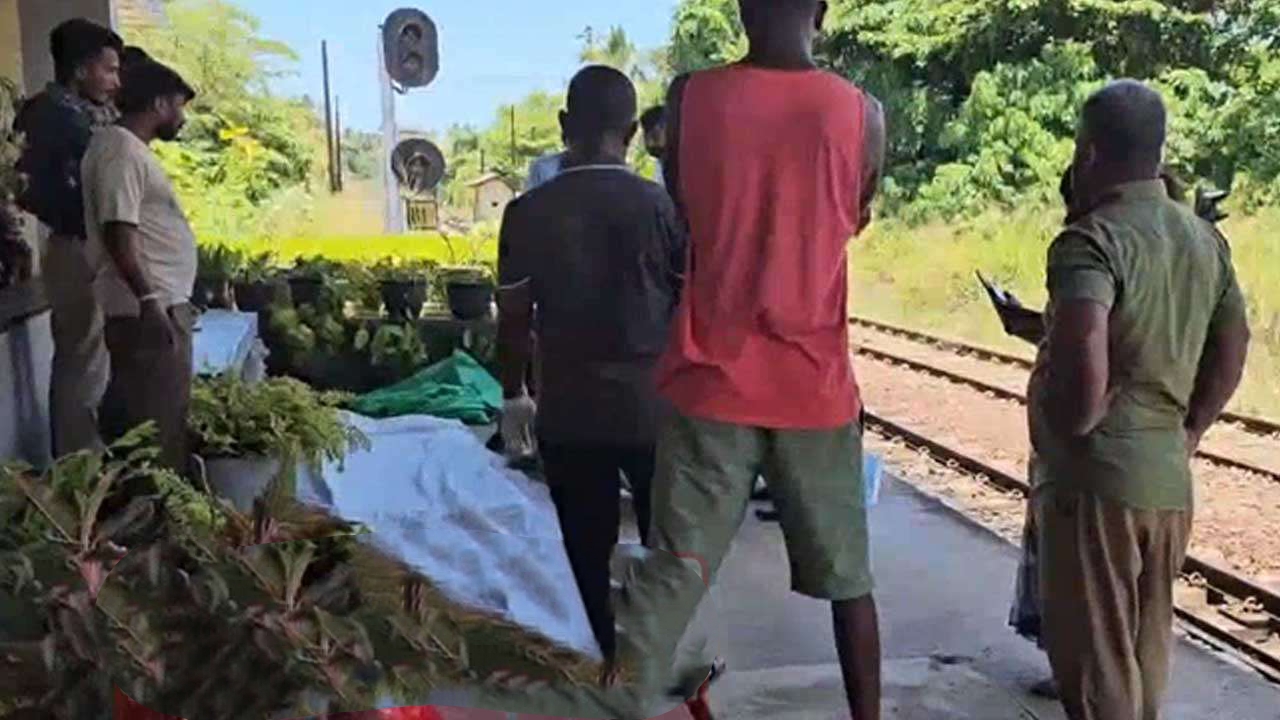 சற்று முன் ரயிலுடன் மோதி இளம் வெள்ளை அழகி உடல் சிதைந்து பலி
