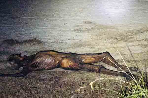 கிளிநொச்சியில் நிர்வாண நிலையில் மீட்க்கபட்ட சடலத்தால் பதற்றம்